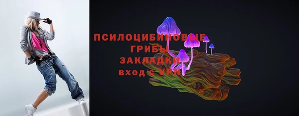 Альфа ПВП Нея
