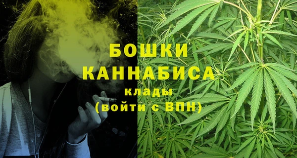 Альфа ПВП Нея